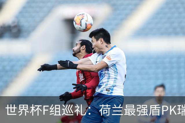 世界杯F组巡礼：荷兰最强盾PK瑞典犀利刀 日本短板明显